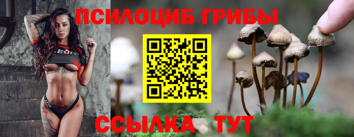 Подольск  Галлюциногенные грибы Magic Shrooms  Вход с VPN 